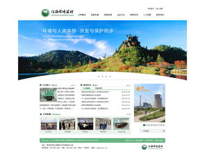 監理公司網頁設計與影視策劃 融合專業化與視覺藝術